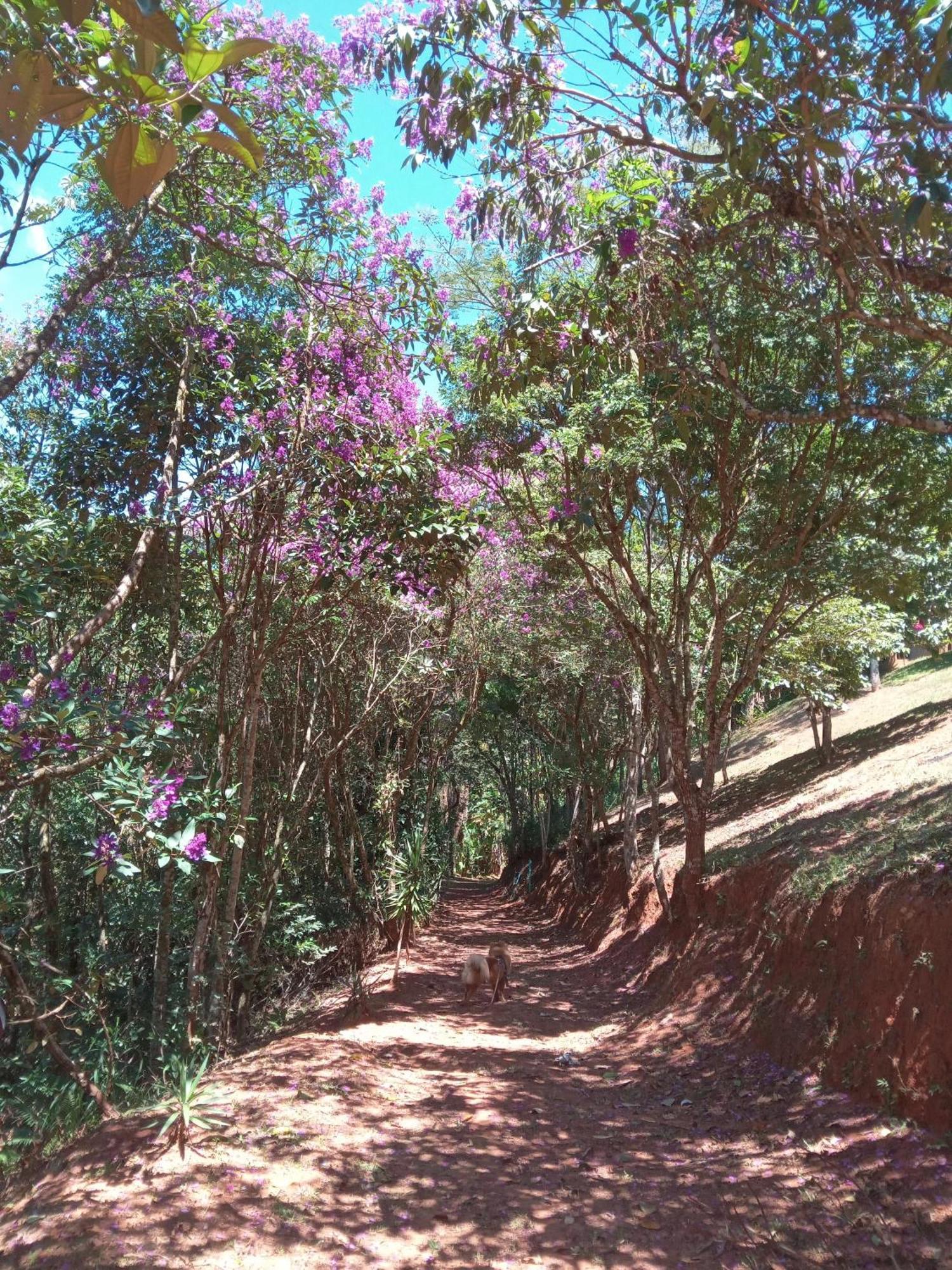 Casa Mato