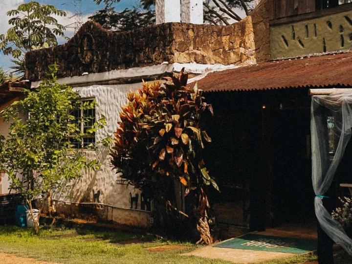 Casa Mato 3*